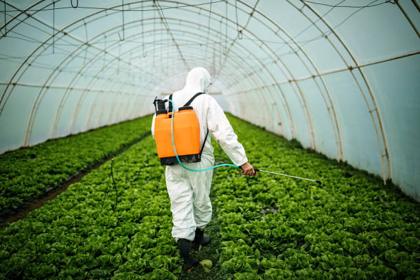 Best Pest Control for Restaurants  in Green Village, NJ