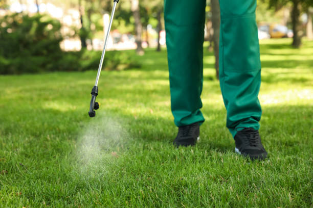 Best Wasp Removal Services  in Green Village, NJ